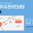 디데이성형외과의원 네이버블로그
