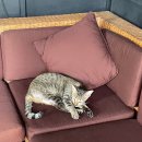 Y GYM FITNESS | 발리 우붓 여행기 1~2일차✨ 에어비앤비 숙소부터 헬스장, 맛집 투어까지!