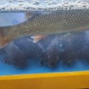 파도소리횟집 이미지