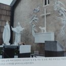 성모클린 이미지