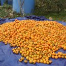 산마루농장 이미지