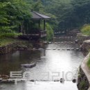 백아산자연휴양림 이미지