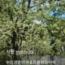 [중보기도요청] 2026년7월29일(수) 이미지