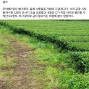 내농장 네이버블로그