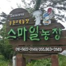 스마일교육농장