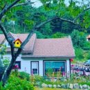 강릉우리집 이미지