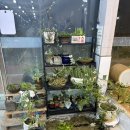 거창국밥 | 와..돼지국밥집에 짜글이가 진짜 대박이네 거창가마솥돼지국밥 짜글이 찐텐후기 주촌맛집 김해맛집