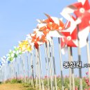 봄특집_세미발라드_동심원_작사 이명순_가수 시연_작 편곡 수노_기획 프로듀서 윤기영 이미지