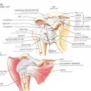 염기룡한의원 이미지
