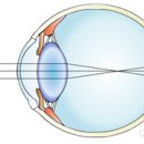 글라스월드 만수점 이미지