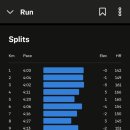김포한강 10로 | 25년 4월13일 김포한강마라톤 10K 후기