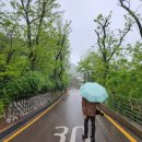 봄비문학관 이미지