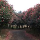 안담농장 이미지