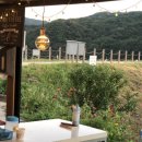 무을칼국수