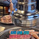 데일리지몽
