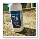 포항식당