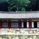 순천-51호 Daum카페