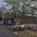 강촌꿀벌독채펜션 이미지