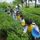 두륜산도립공원 관리사무소 이미지