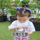 월금농장 | 용인 아이데리고 갈만한 곳 용인 포레스트 벨 블루베리 체험 후기