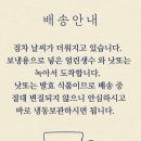 참발효 | 발효식품 추천 | 미생물박사 참발효낫또 24개 솔직 후기