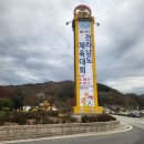 장성 백양사 단풍 구경 나들이