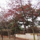 치악예술관 이미지