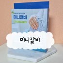 먼지와 반려동물 털 다 쓸어버리는 필수템:: 내돈내산 후기 쓰리잘비 미니잘비