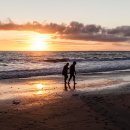 노을빛바다 이미지