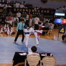 꿈나무태권도 이미지