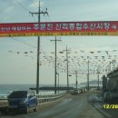 종합수산시장 이미지