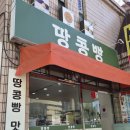 티스테이션 남구미점 | 구미 구황작물빵 어디가 맛있을까? 땅콩빵 덕후가 인정한 구미땅콩빵 맛집 후기🥜🍠🌽
