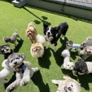 헬로우버디 이미지