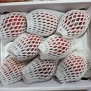 미란농장 이미지