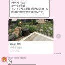 제주 신촌리 우정여행 촌캉스 독채 펜션 추천 쪼바네 2박 3일 가격/ 내돈내산 후기