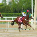 오아시스 이미지