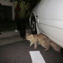 하단1동-3 이미지