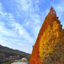 명수당 네이버블로그