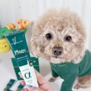 알파덴탈 이미지