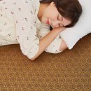 골드의료기 | 한일의료기 전기매트 EMF 전자파없는 전기장판 1인용 사용후기와 추천