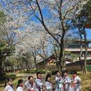 용인대 홍익 태권도장 이미지