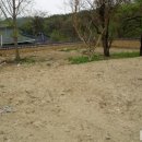 주생면 소지마을 Daum카페