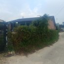 매화2길 이미지