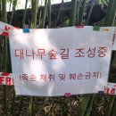 전통놀이 | 창원 가볼만한곳 창원의 집｜설맞이 전통놀이 체험 후기