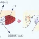내츄럴치과 이미지