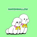 물건가든민박 | 뉴욕 맨해튼 숙소 미드타운 독채 I 강아지랑 뉴욕 여행 EP.2