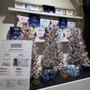 5905 | 역삼 디저트 잘하는 셀렉티드닉스 방문 후기(주차 꿀팁)