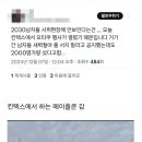 실시간 킨텍스 행사 간 메이플 유저 근황... 이미지