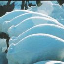 아이엠재활병원 이미지