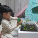 이솔푸드 이미지